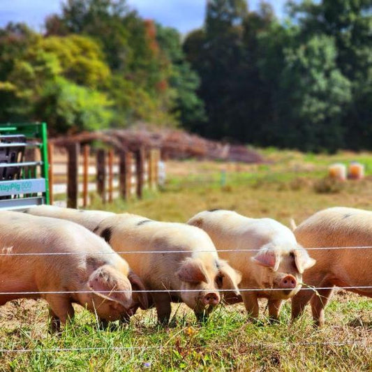 1/2 Hog Butcher Select Cuts Deposit - STORE PICK UP ONLY