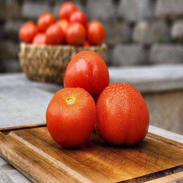 Become a Franklin Harvest Patron - $100 /month